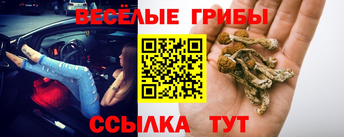 Псилоцибиновые грибы Psilocybine cubensis Ступино